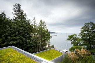The multi-component building presents wonderful extensive green roofs at different altitudes. Source: Brett Ryan Studios, Vancouver Extensive green roofs